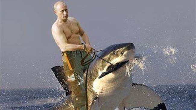 putin-riding-a-shark-1-522x293.jpeg