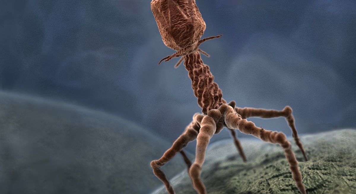 bacteriophage-c2a9xvivo-scientific-animation.jpg