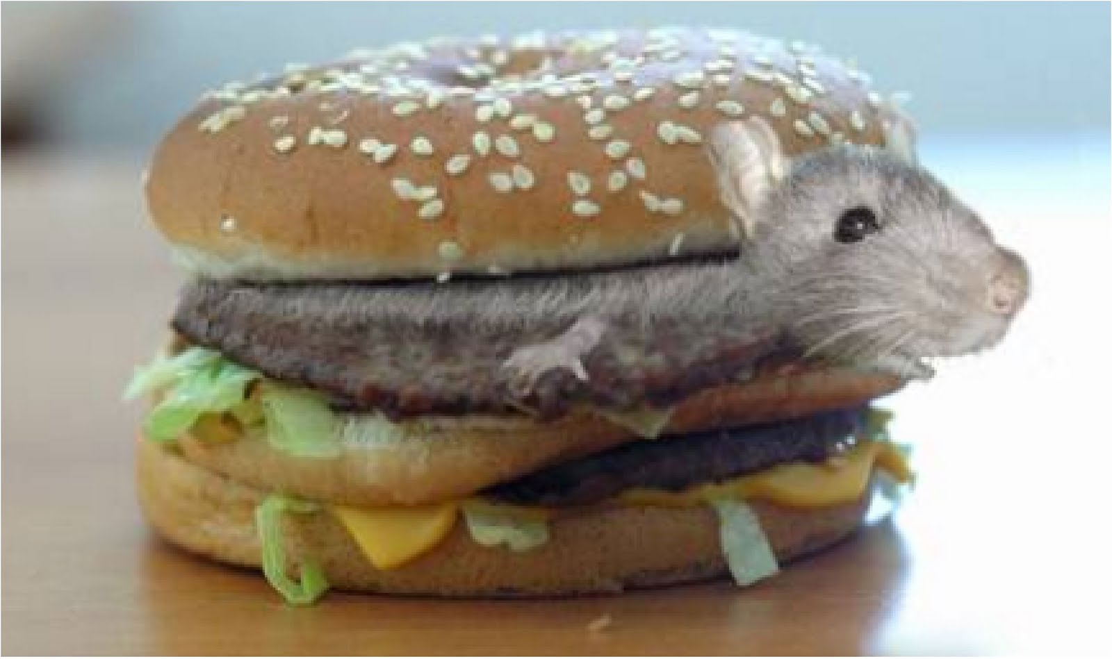 mouse_hamburger1.jpg