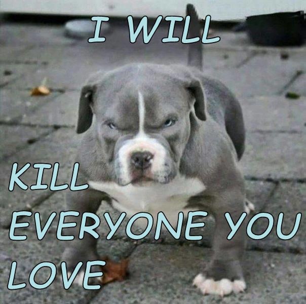 i-will-kill-everyone-you-love