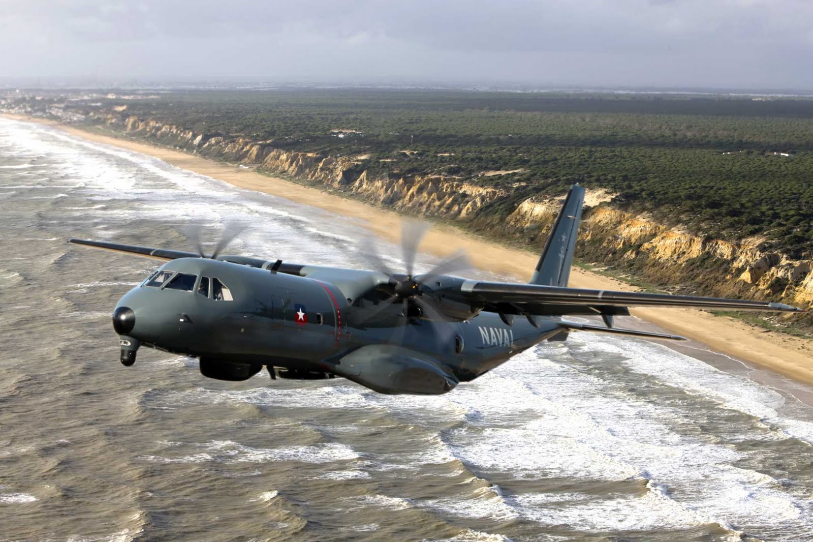 C295-ASW-ChileHR.jpg