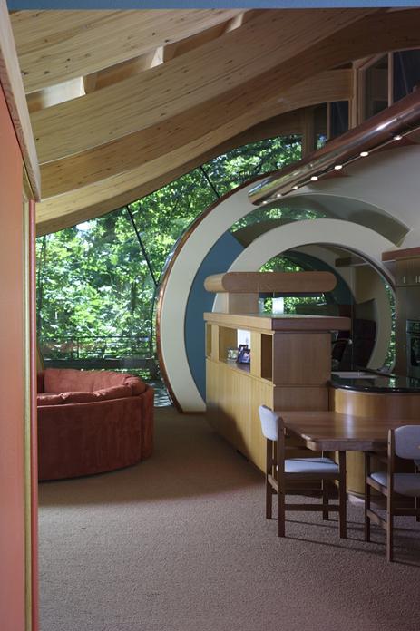 curved-roof-rooms-design-tree-house.jpg