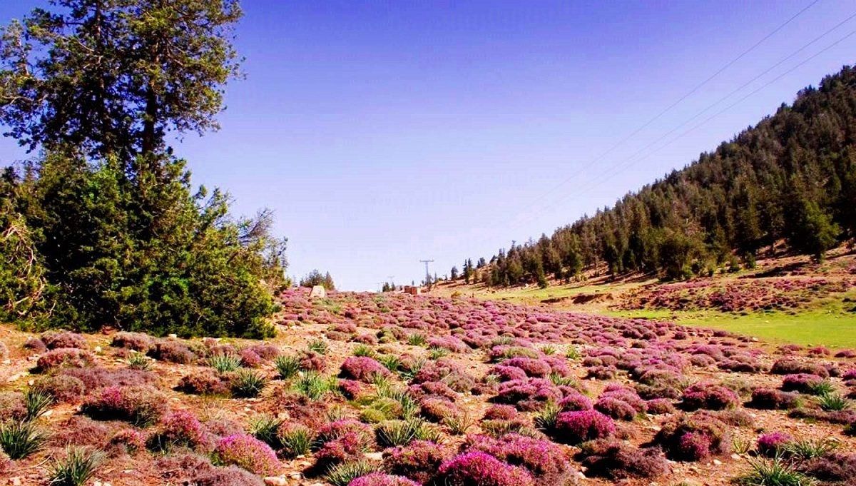 prospect-point-ziarat.jpg