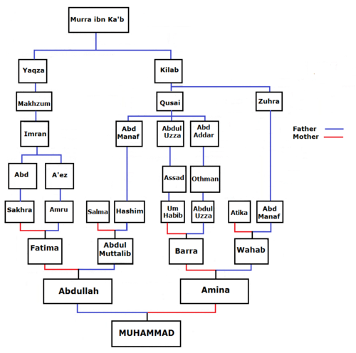500px-Muhammad_familytree2.png