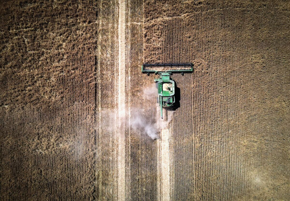 Last season’s barley harvest near Gunnedah, New South Wales, on Oct. 14.