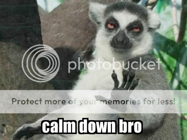 1168834-calm_down_bro_super.jpg