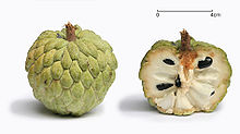 220px-Sugar_apple_with_cross_section.jpg