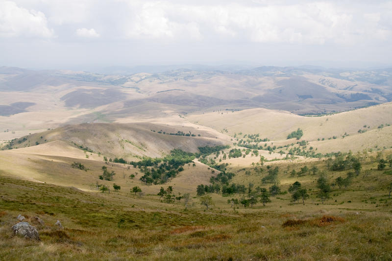 Golden_hills_of_Zlatibor_by_pathika.jpg