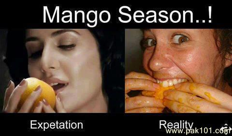 Mango_Season_Funny_jszlc_Pak101(dot)com.jpg