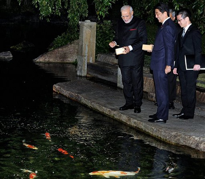 modi53.jpg