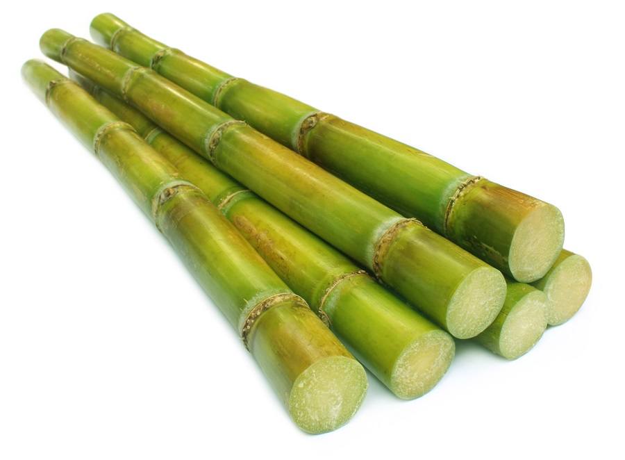 sugar-cane.jpg