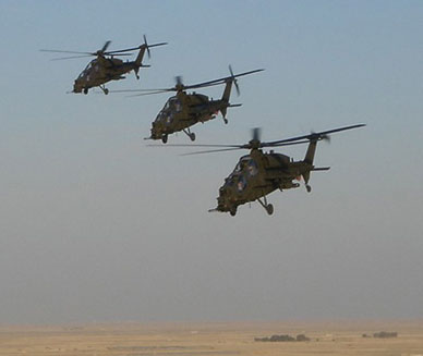 Mangusta_Iraq.jpg