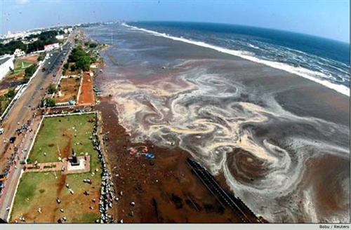 Tsunami-Marina-Beach.jpg