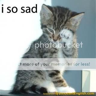 cute-kitten-crying.jpg