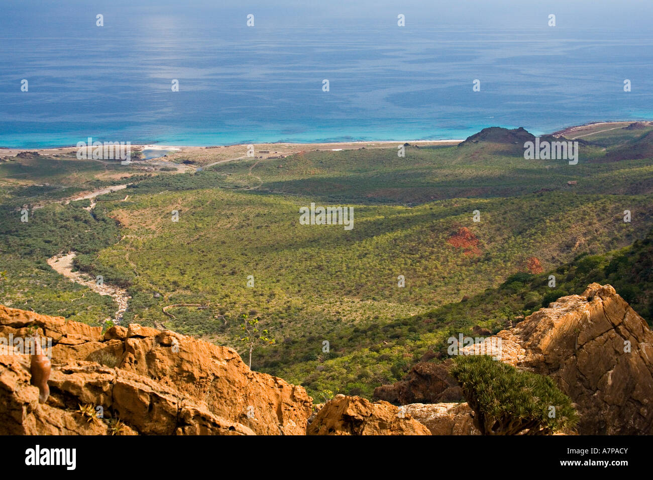 homil-plateau-towards-the-east-coast-of-socotra-island-yemen-A7PACY.jpg