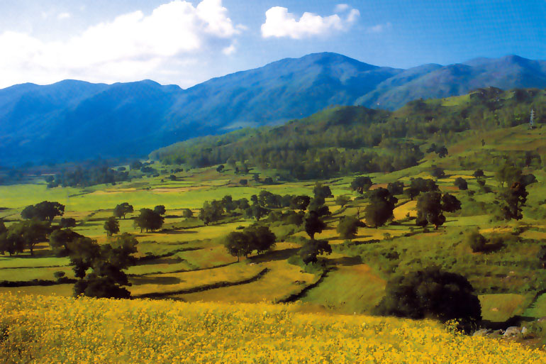 Araku-valley-4_big.jpg