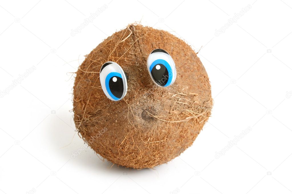 depositphotos_1547709-Funny-coconut--with-eyes.jpg