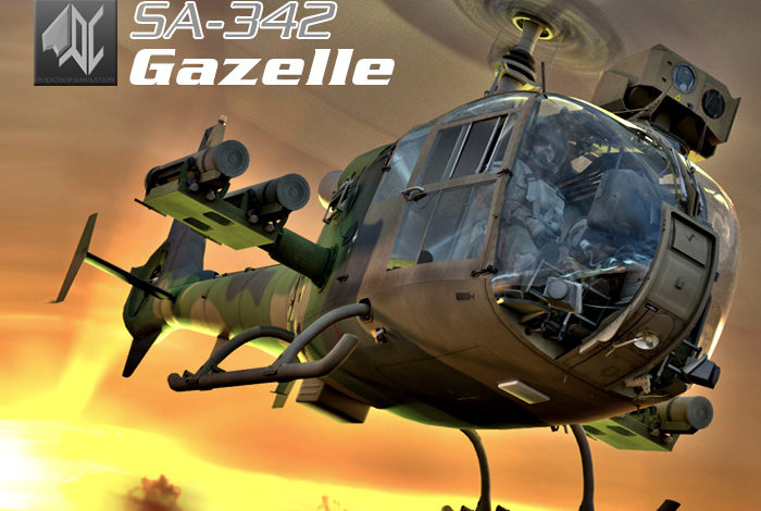 Cover-Video-Gazelle-700x470.jpg