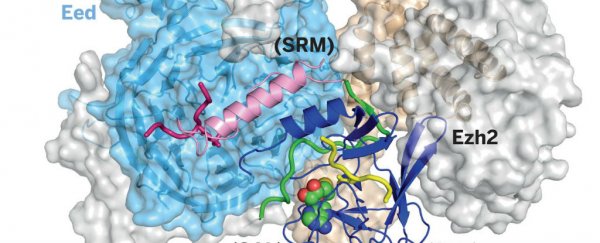 structure-complex_600.jpg
