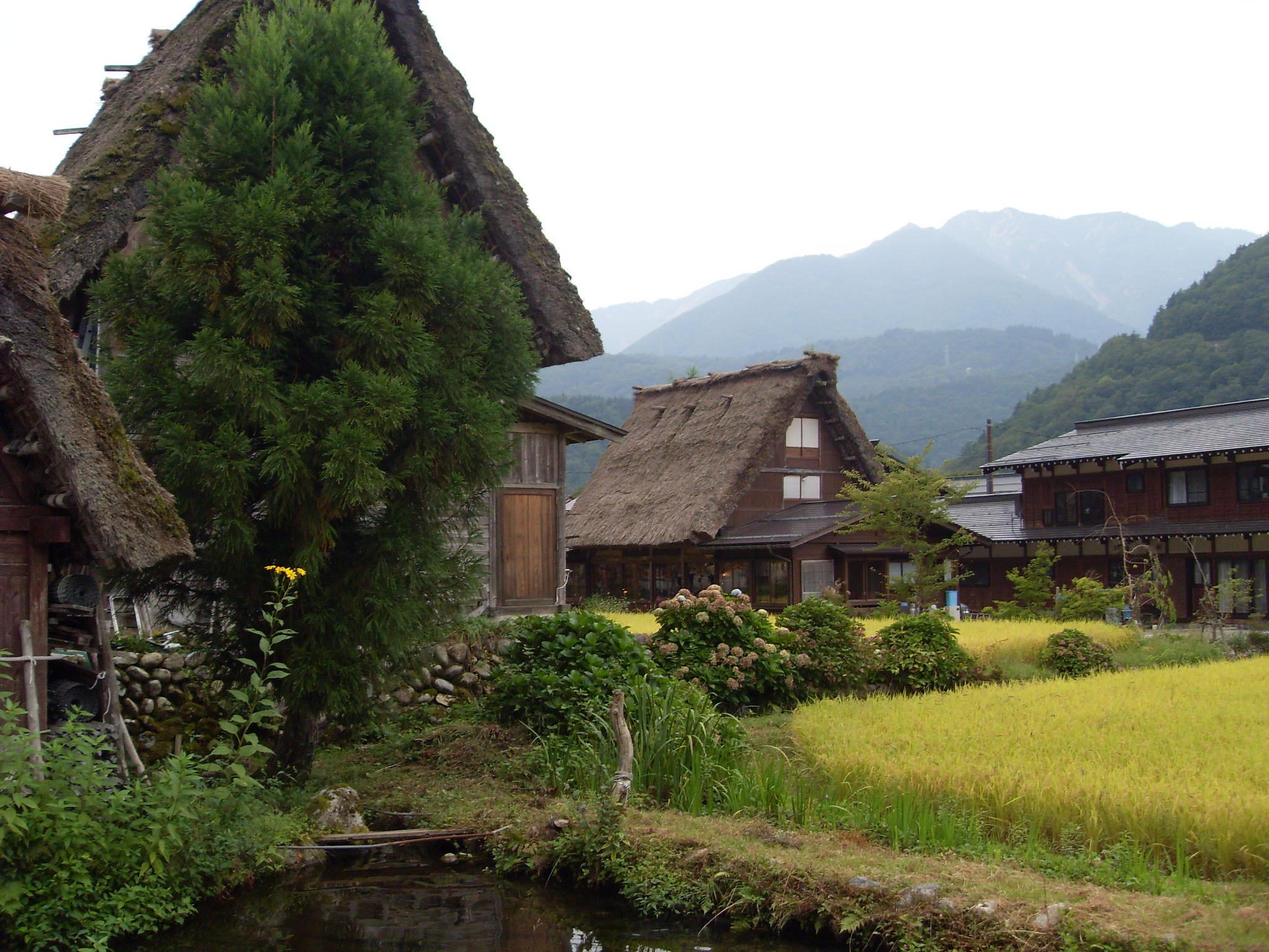 Traditional_Japanese_village_Shirakawa-go.JPG