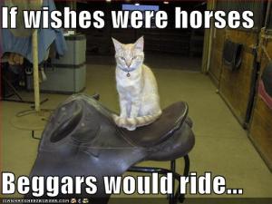 if-wishes-were-horses-beggars-would-ride.jpeg