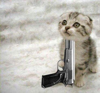 funny-cats-with-guns-6.jpg