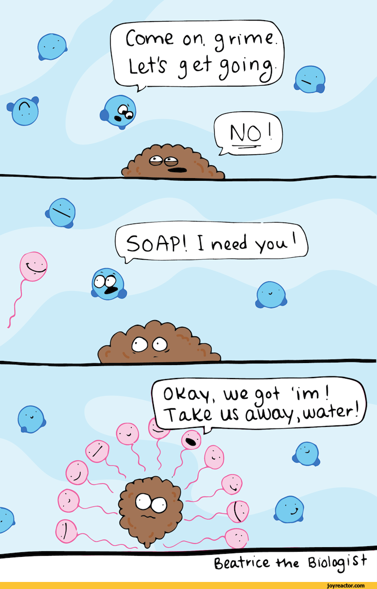 comics-Beatrice-the-Biologist-soap-emulsification-1081386.png