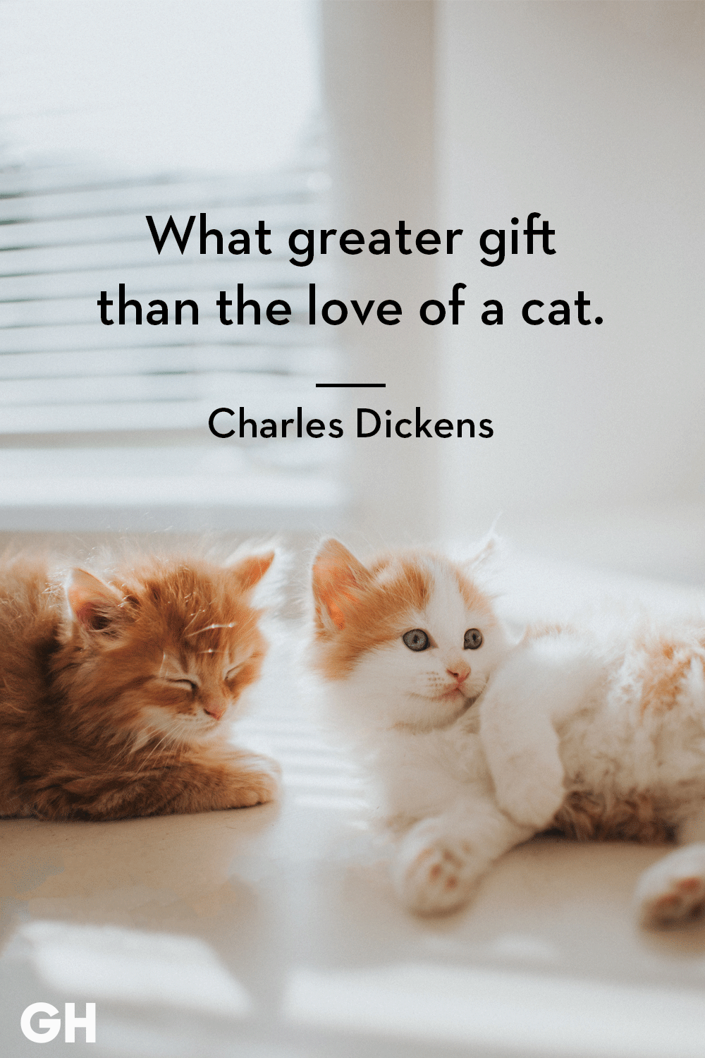 ghk-cat-quotes-charles-dickens-1543597192.png