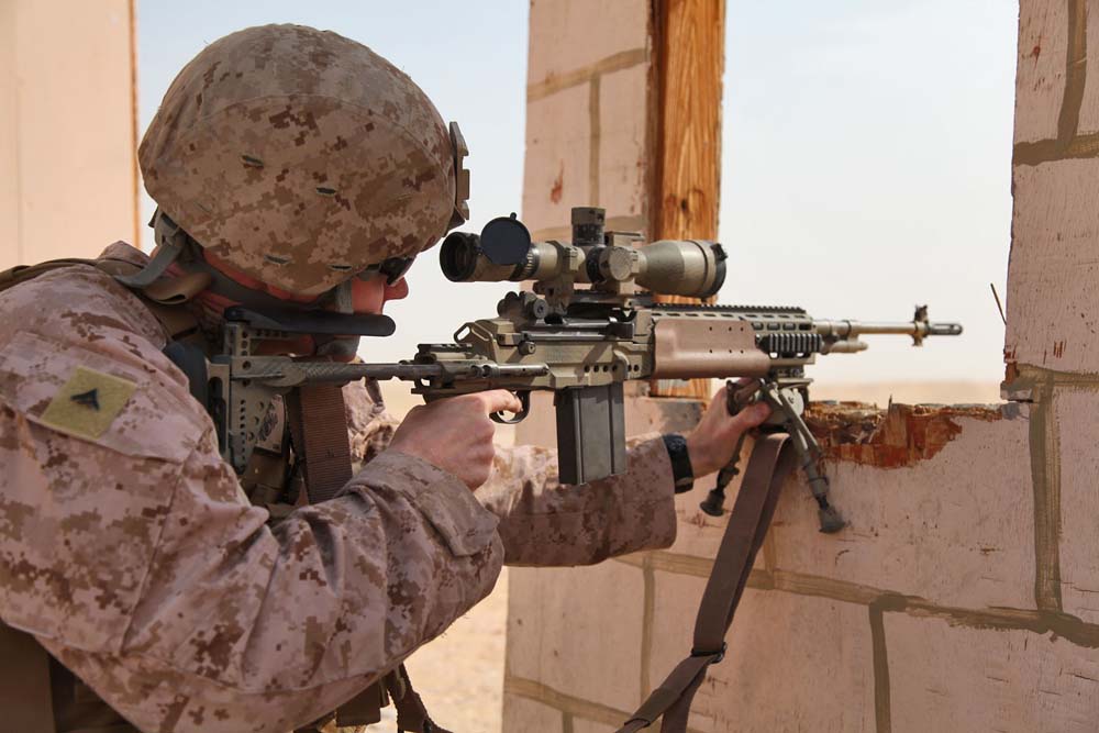 M39_Enhanced_Marksman_Rifle_(1).JPG