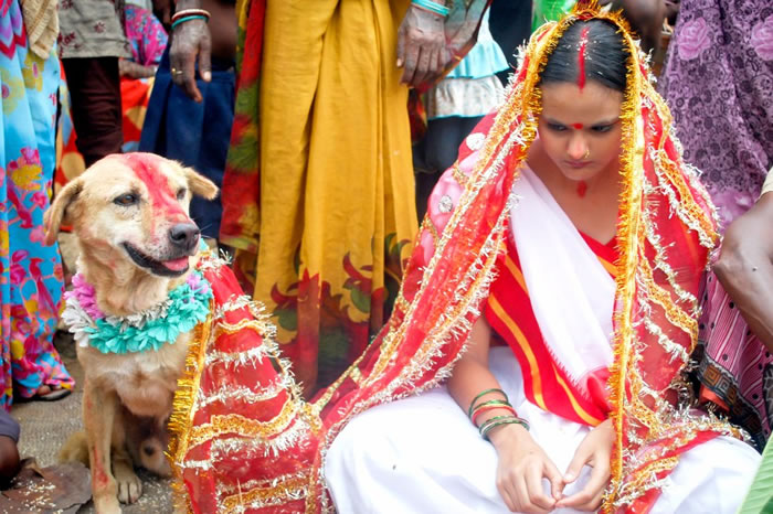 Indian-Girl-Marries-Dog-After-Village-Demand-It-1.jpg