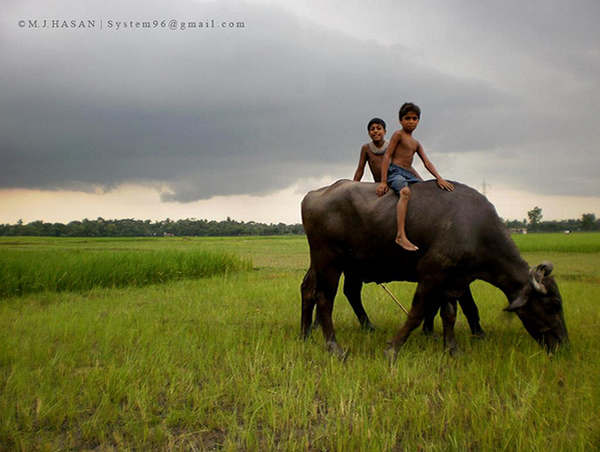 beautiful_bangladesh_24.jpg