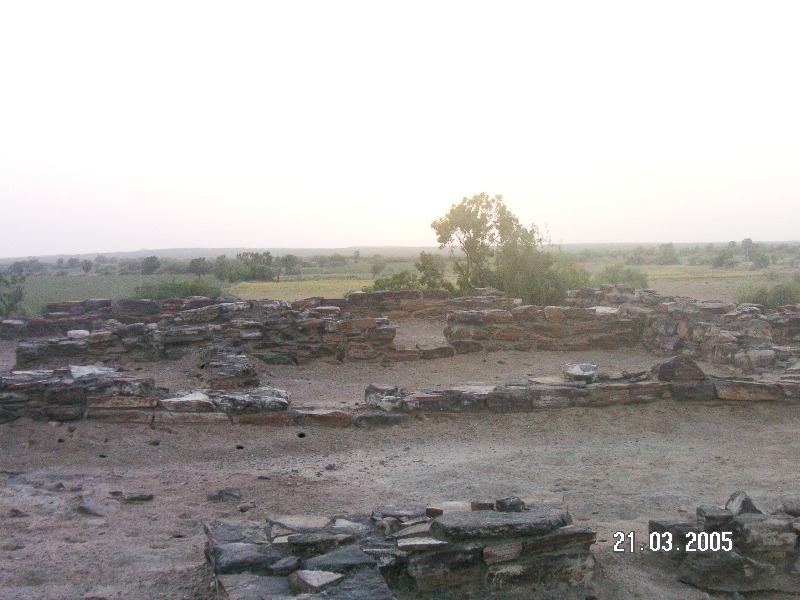 Rapar_taluka_20-22.3_313.jpg