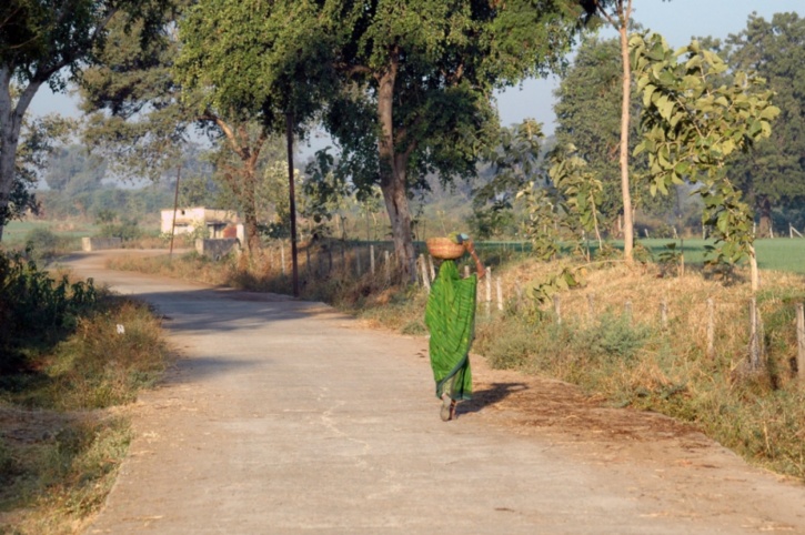 rural_road_1476084341_725x725.jpg