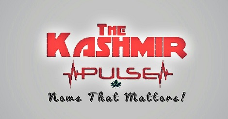 kashmirpulse.com