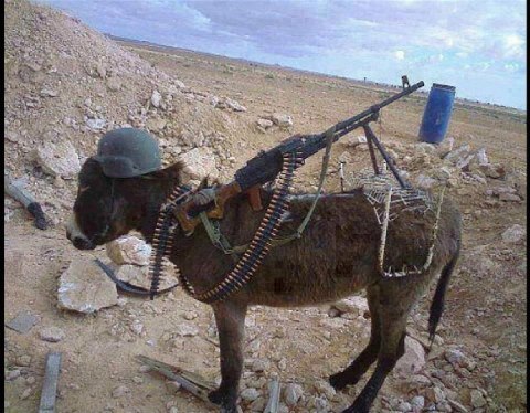 NETO-Forces-after-Years-every-american-will-be-come-like-donkey-afghanistan-funny-animal-pictures.jpg