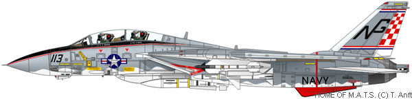 f14-squadron-vf211-01.jpg