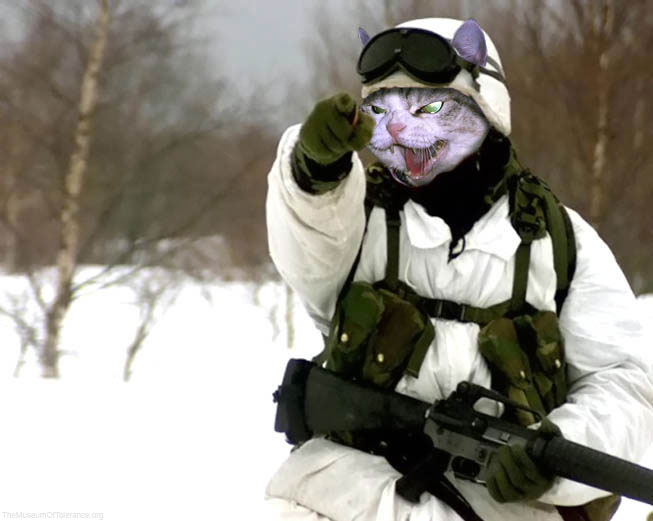 Cat_Soldier.jpg