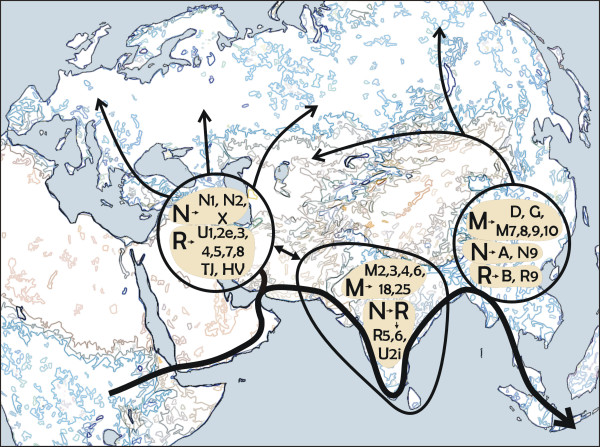 Peopling_of_eurasia.jpg