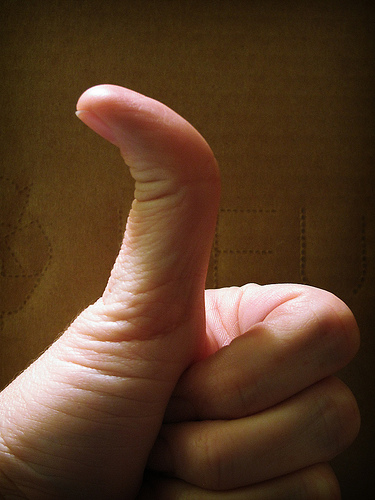 thumb.jpg