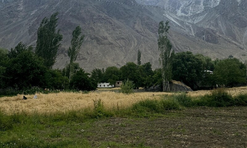The photo shows agricultural land in Skardu post the water shortage.
