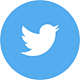 social-icon-twtr-2x.png