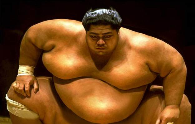 sumo-wrestler.jpg