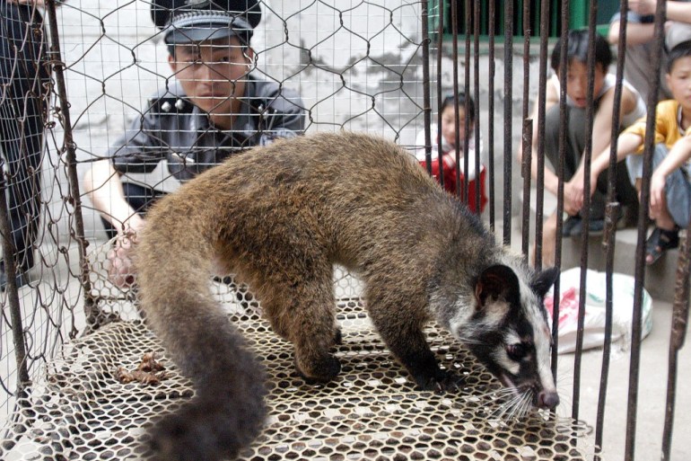 A report published in Nature Scientific Reports in June found '47,381 individuals from 38 species, including 31 protected species sold between May 2017 and November 2019 in Wuhan’s markets' [File: AFP]