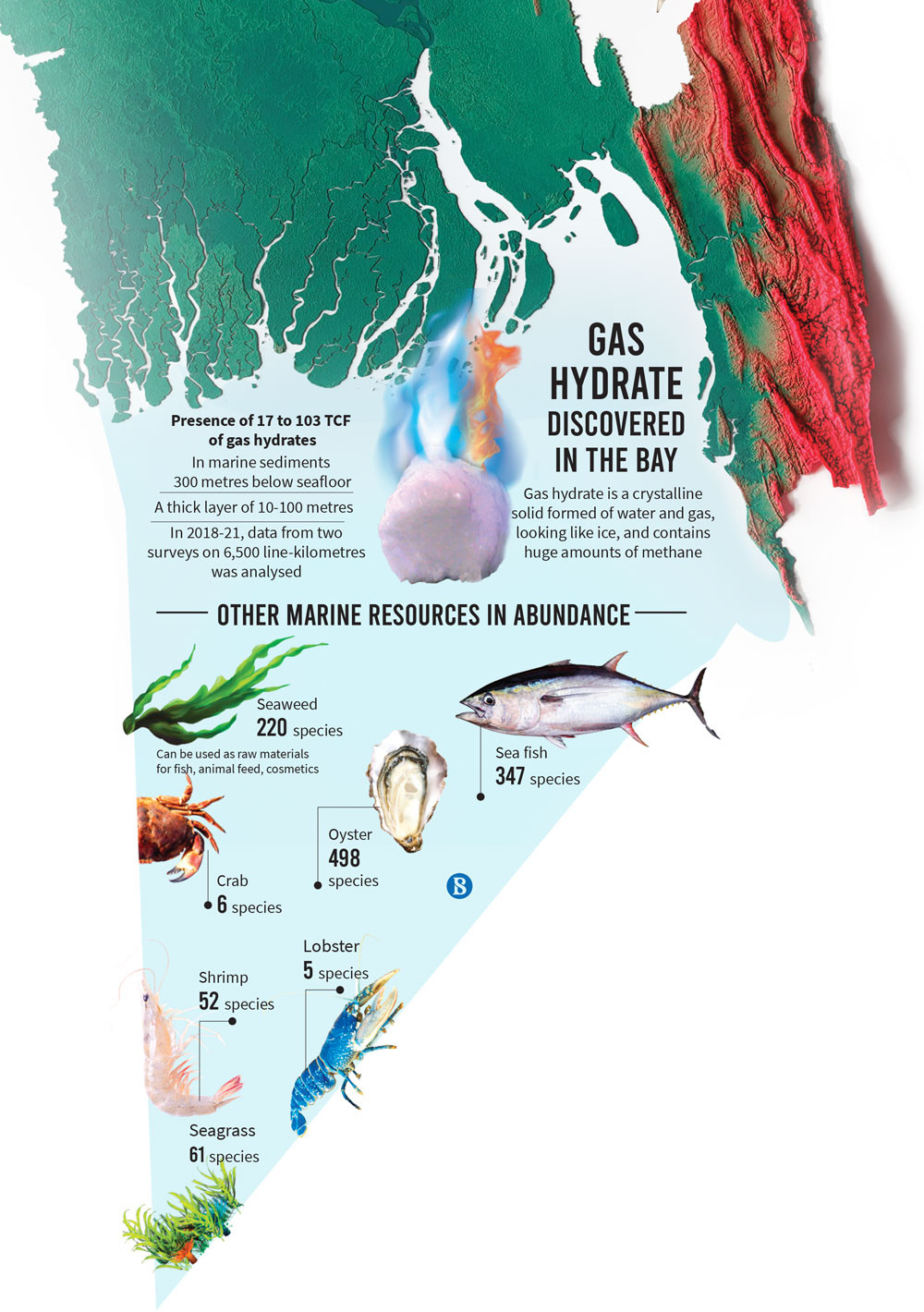 Gas hydrates discovered in Bay