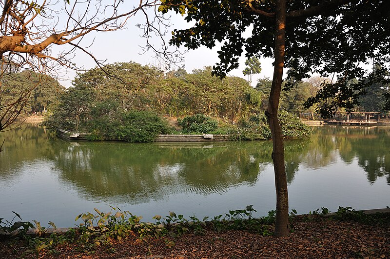 800px-Alipore_Zoological_Garden_-_Kolkata_2011-01-09_0075.JPG