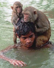 bangladesh20flooding.jpg