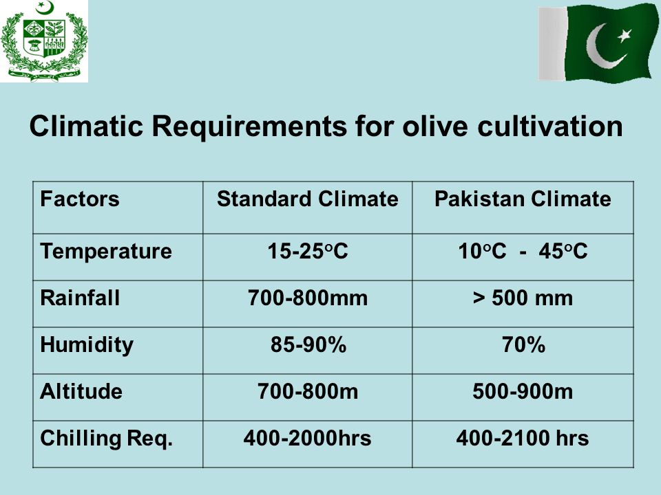 Climatic+Requirements+for+olive+cultivation.jpg