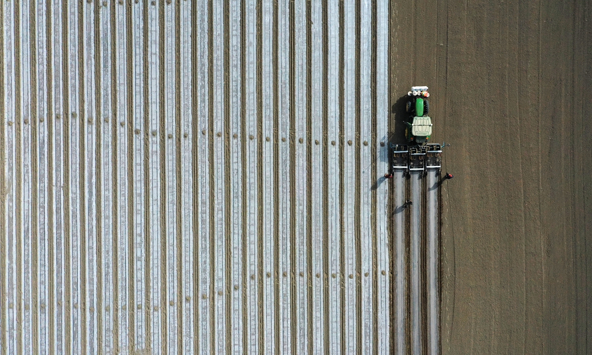 A farming tractor sows cotton in Yuli County, Northwest China's Xinjiang Uygur Autonomous Region on March 29, 2022. Photo: VCG