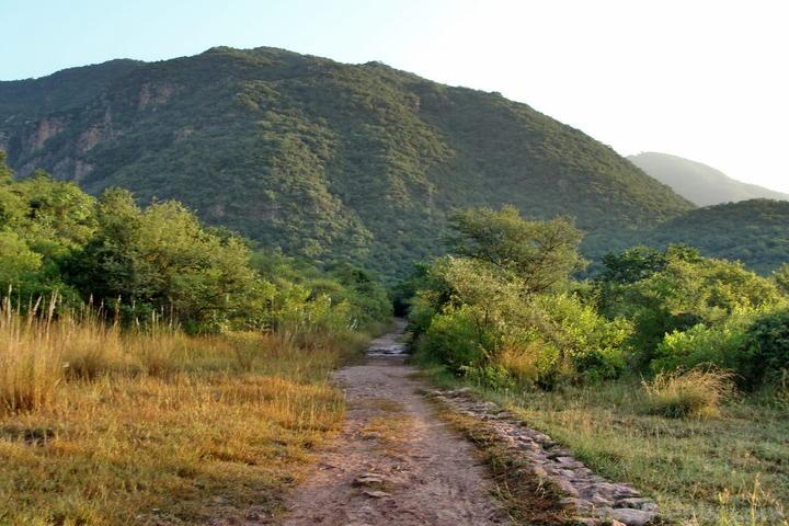 144980-Margalla-hills-hiking-Islamabad-s12.jpg