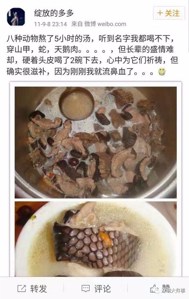 pangolin-stew-weibo-snake-swan.jpg